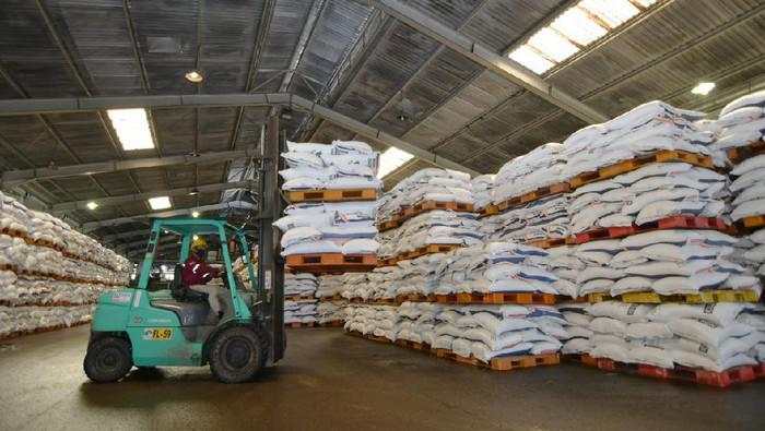 BUMN Dorong Penyerapan Pupuk Subsidi, Begini Caranya