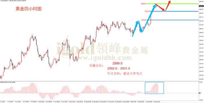 领峰金评：新高不断 黄金气势如虹